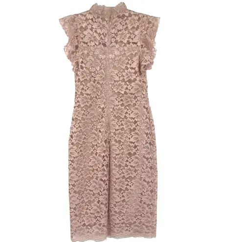 Enfocus Studio Lace Midi Dress Sz 4 Blush Cottage Castlecore High Neck Coquette