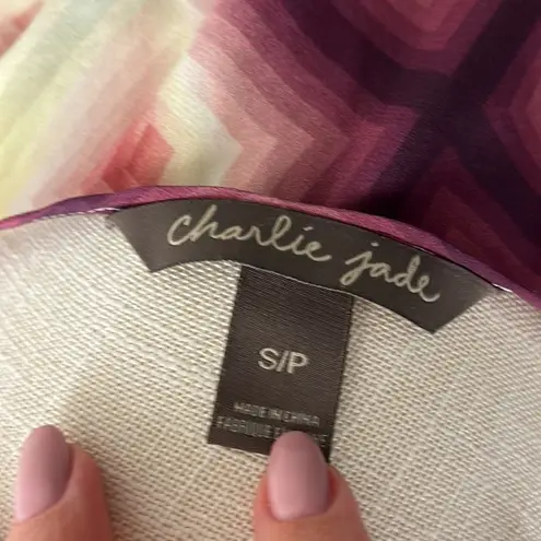 Charlie Jade One Shoulder Geometric Watercolor Pixel Cascade Dress S Silk