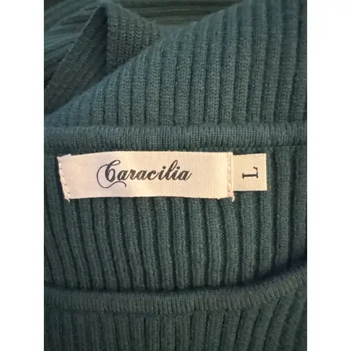 Caracilia Dark Green Long Sleeve Sweater Dress Size Large