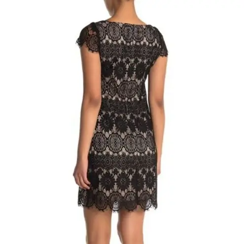 Eliza J NEW‎  Cap Sleeve Lace Shift Dress