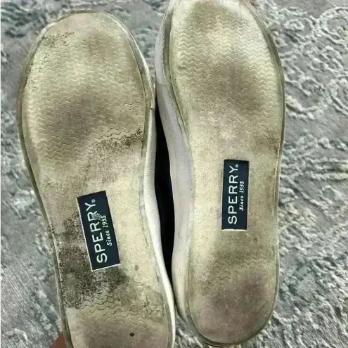 Sperry  Women's Crest Vibe Canvas Sneaker Navy‎ STS85707 Size W-5