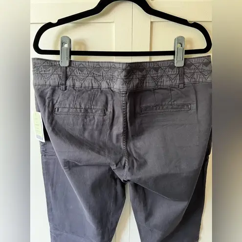Pilcro and the Letterpress  Anthropologie NWT Women's Gray Skinny Pants-Size‎ 32