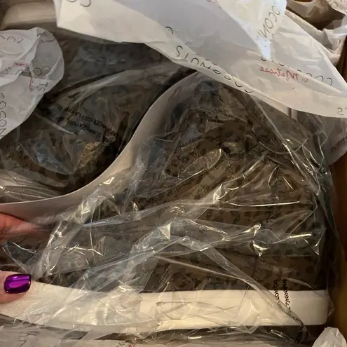 Coconuts by Matisse 7.5 M Long Live Animal Print High-Top Wedge Sneaker Boot