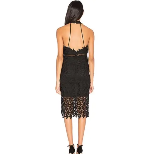 Bardot Black Lace Halter Midi Dress Party Cocktail Formal Sheer Size 6 Small New