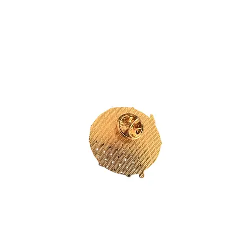 WE ALL HAVE MAGIC INSIDE US Harry Potter Magic Enamel Pin NEW NWOT Red