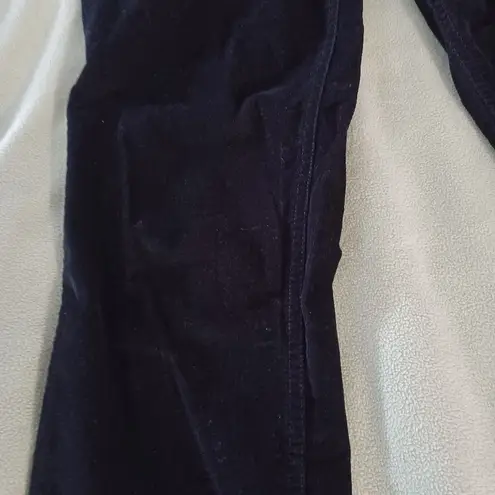 Rafaella Rafealla Petites Micro Cordoruy Womens Pants Size 10P Soft Career Pants