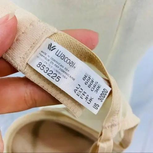 Wacoal Stark Beauty Contour Underwire Bra Cream Tan Lace 30DDD