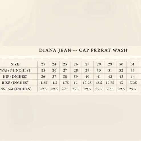 NWT DÔEN DIANA JEAN IN CAP FERRAT WASH Blue Size 24