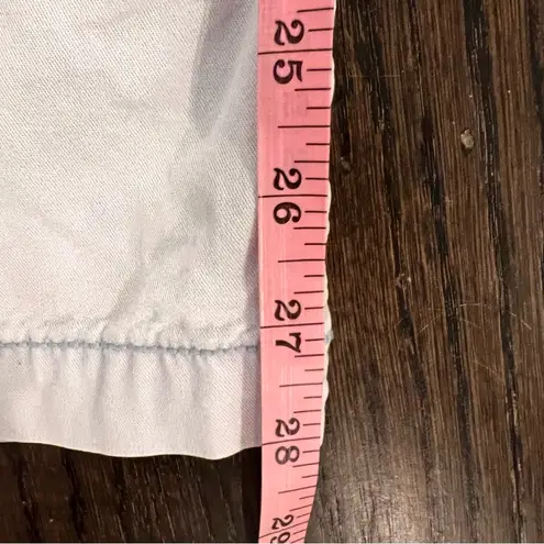 American Eagle Outfitters Light Blue Cargo Pants