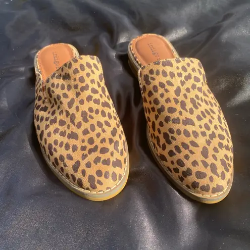 Indigo rd. 🤎 NWT Size 6.5 Ocelot Hayze Mule Sandals Slip On Shoes $35.00 🤎