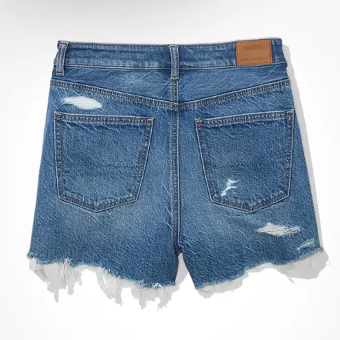 American Eagle Outfitters High Rise Mom Shorts