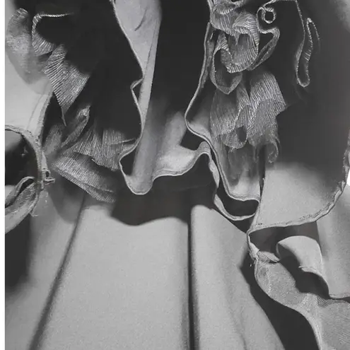 Lucci Lu Style 8261 Ruffled Tulle Maxi Skirt with Bustle Train in Black