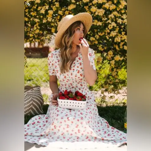 Ivy City Co Lucy Dress in Strawberry Fields Size 4x Plus Size White Red Midi