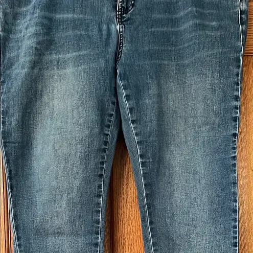 Universal Standard  Medium Wash Skinny Leg Denim - 18P