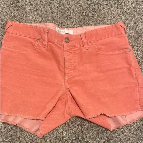 Carve Designs  Coral corduroy Women Shorts 6