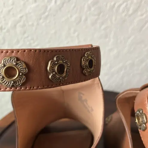 Coach : Brown Eddison G2503- adjustable ankle strap- Mule Heels- 5.5