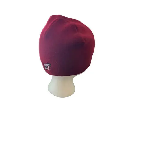 Florida State University FSU Logo embroidered beanie hat Blue