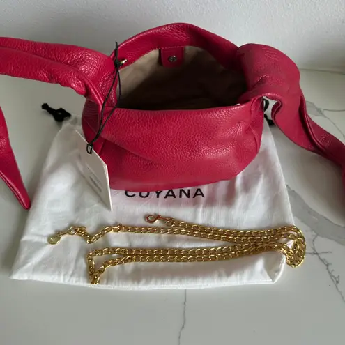 Cuyana New Mini Bow Bag Raspberry, Pebbled, Gold