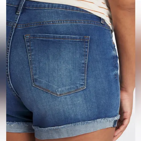 sts blue Molly short 10” high rise