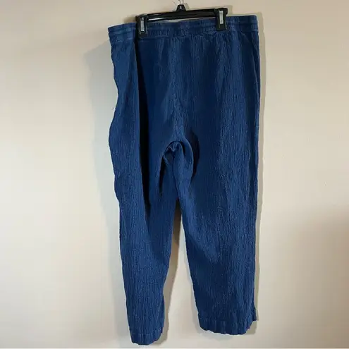 Pure Jill J. Jill Women’s Blue Linen Blend Pants Large