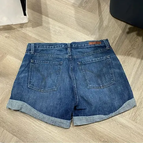 Calvin Klein Jeans Calvin Klein Jean Shorts Size 10