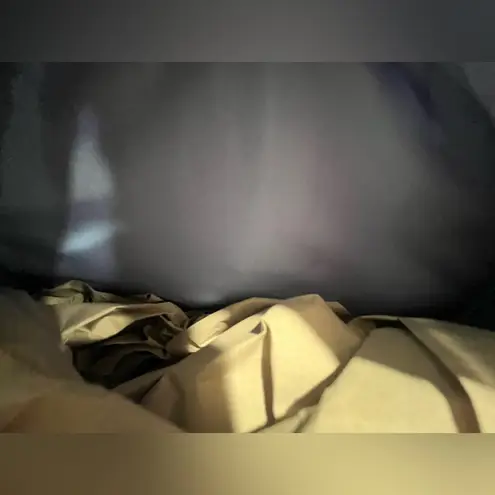 Lounge Fly Disney Dogs Floral Mini Backpack