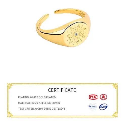 Boutique Unisex White Gold Plated S925 Diamond Signet Sun Ring, Adjustable