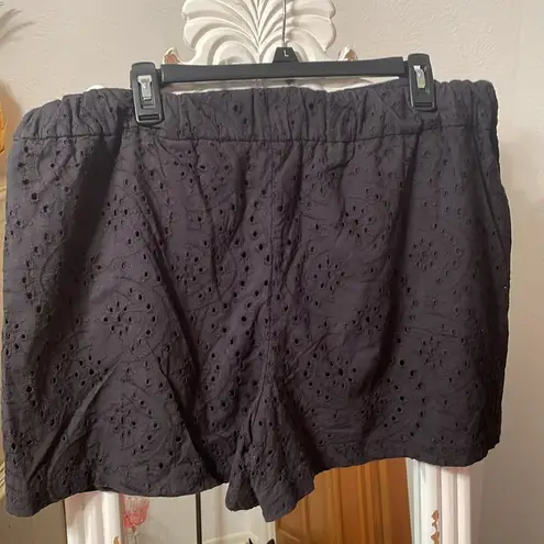 Apt. 9 ✔️✔️✔️BOGOHO ✔️✔️✔️Black Eyelet Shorts