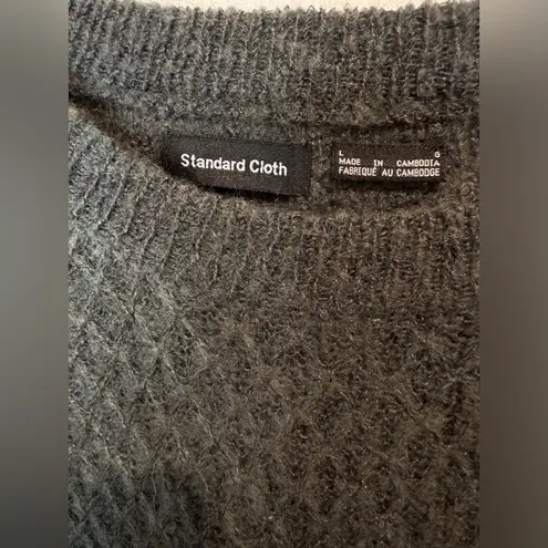 Standard Cloth Urban Outfitters NWOT Unisex Sheer Crew Neck Sweater Size L Green Size L