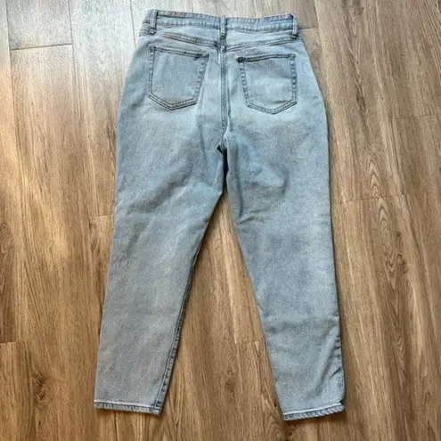 Wild Fable  Light Wash High Rise Button Fly Straight Leg Slim Jeans Size 10 NWOT