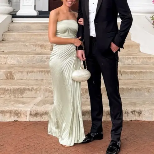 ALC Frank A.L.C Layla Pleated Gown 6