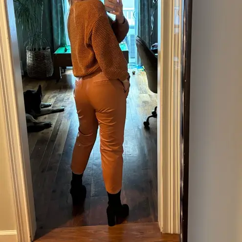 Genuine Sheepskin Leather Pull On Pants in Caramel XS Brown