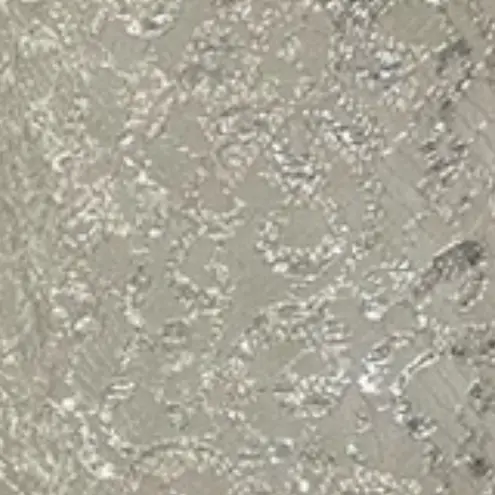 Teri Jon champagne silver and lace seethrough sparkle designer dress or overlay Tan Size 8