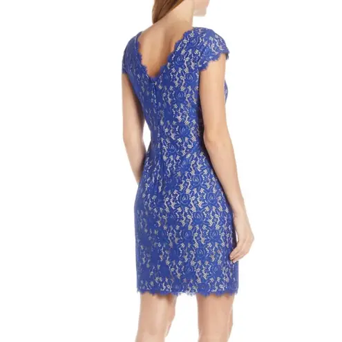 Eliza J Royal Blue Lace Cocktail Dress Size 12 Cap Sleeve Scalloped Hem Lined