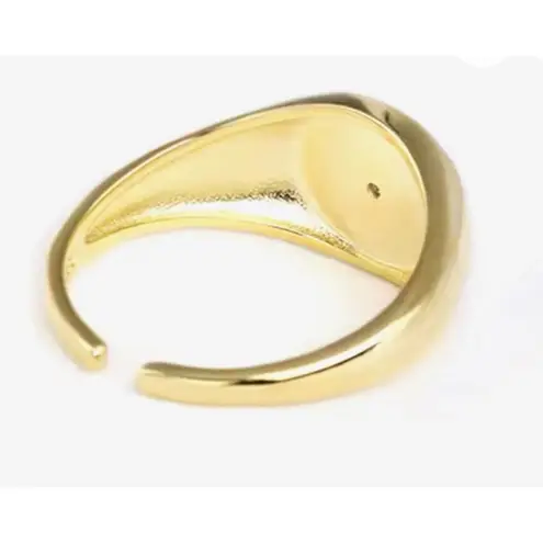 Boutique Unisex Yellow Gold Plated Sterling Pave Diamond Sun‎ Signet Ring, Adjustable