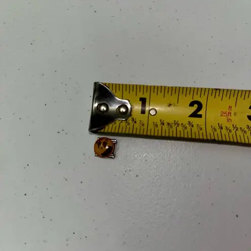 None Boston Terrier Stainless Steel Italian Charm