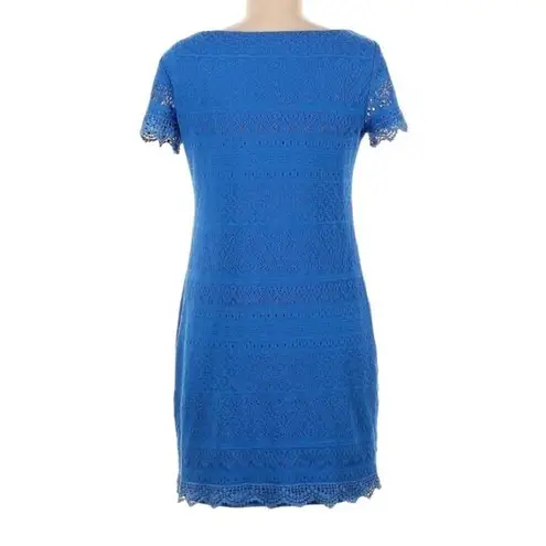 Maggy London Blue Lace Dress Size 4