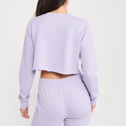Abercrombie & Fitch  cropped sweatshirt