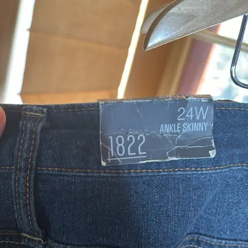 1822 Denim PLUS BUTTER ANKLE SKINNY IN ZIGGY Size 24W