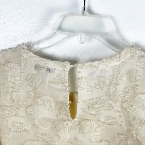 Moon River Cream Crop Raised Polka Dots Lace Trim Sheer Long Sleeves Top Small