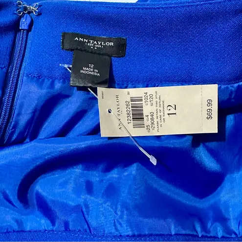 Ann Taylor  Royal Blue Pencil Skirt (1009)