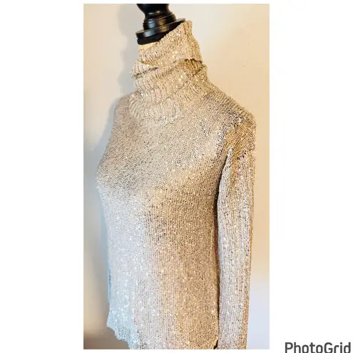 Boston Proper Sequin Turtleneck Sweater