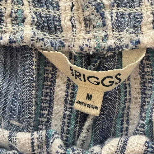 Briggs New York Blue and White High Waist Striped Shorts