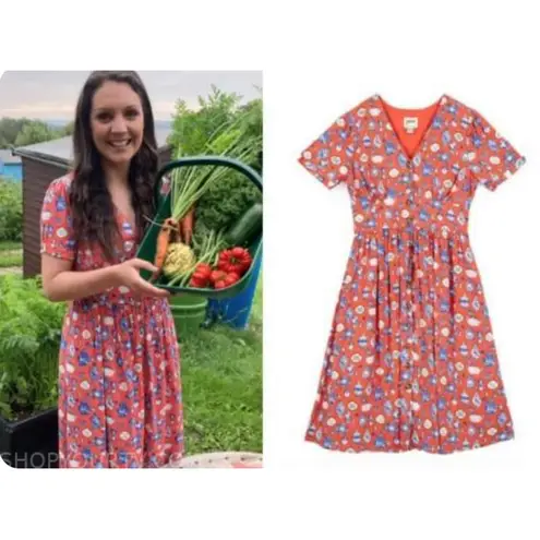 Joanie x Molly Hatch Tea Pot Fit & Flare Button Front Shirt Dress Size Small Red