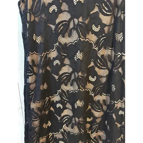 Ronni Nicole Black & Nude Lace Shift Dress - Size 10 NWT