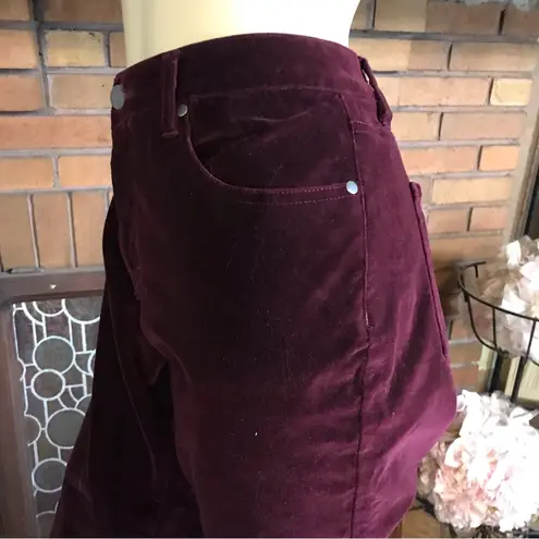Ruff Hewn BURGUNDY VELOUR TROUSER PANTS (12)
