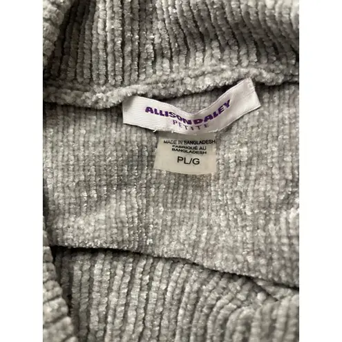 Allison Daley  Sweater Size Petite Large Gray
