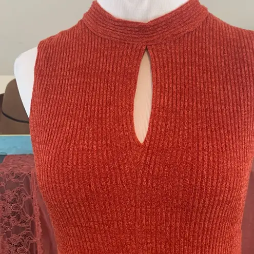 Hem & Thread rust ribbed lightweight sweater dress