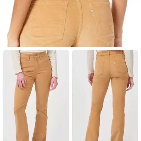 Levi's  725 HIGH RISE GOLDEN VELVET STRETCH FLARE