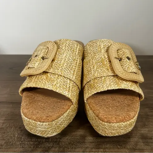 Sam & Libby Crysta Platform Wedge Women's Sandal Size 9 #250992